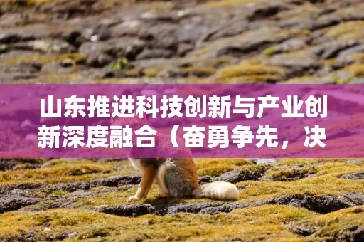山东推进科技创新与产业创新深度融合（奋勇争先，决战决胜“十四五”）