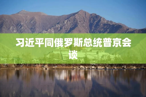 习近平同俄罗斯总统普京会谈