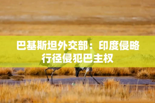 巴基斯坦外交部：印度侵略行径侵犯巴主权