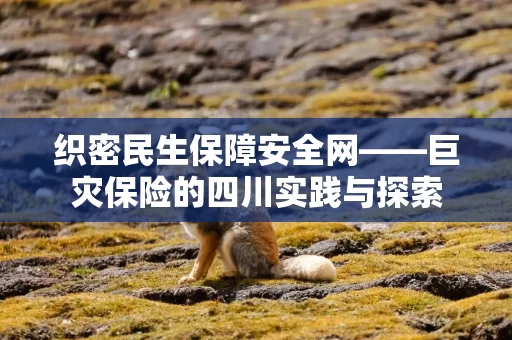 织密民生保障安全网——巨灾保险的四川实践与探索