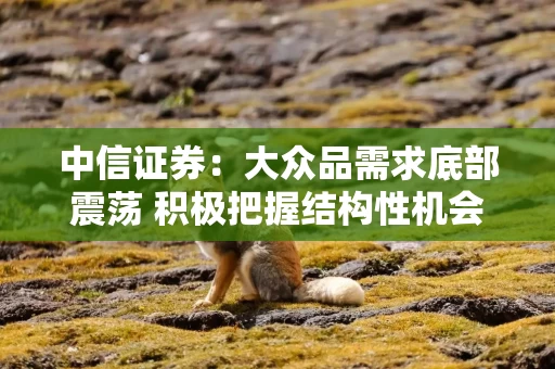 中信证券：大众品需求底部震荡 积极把握结构性机会