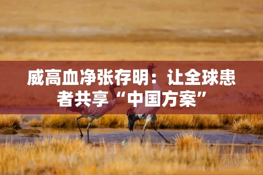 威高血净张存明：让全球患者共享“中国方案”