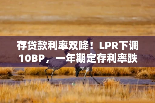 存贷款利率双降！LPR下调10BP，一年期定存利率跌破1%