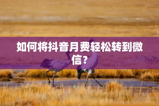如何将抖音月费轻松转到微信？