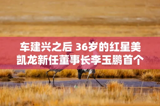 车建兴之后 36岁的红星美凯龙新任董事长李玉鹏首个大考：“618”营销战