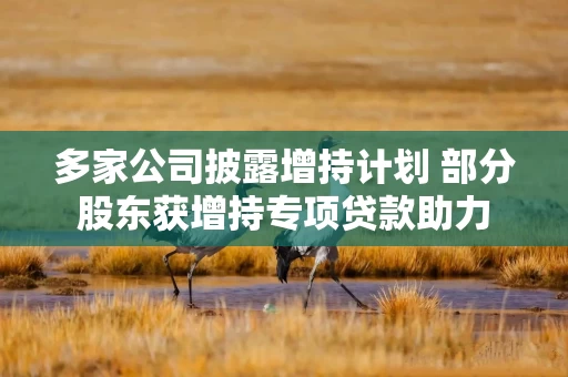 多家公司披露增持计划 部分股东获增持专项贷款助力