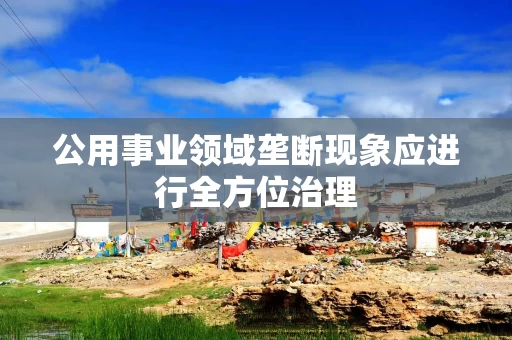 公用事业领域垄断现象应进行全方位治理