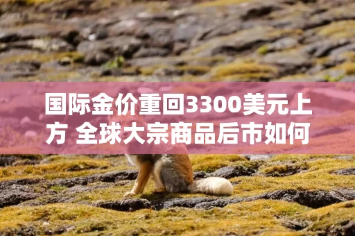 国际金价重回3300美元上方 全球大宗商品后市如何看？