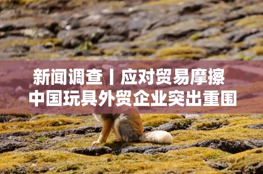新闻调查丨应对贸易摩擦 中国玩具外贸企业突出重围