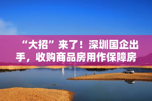 “大招”来了！深圳国企出手，收购商品房用作保障房！专家解读 