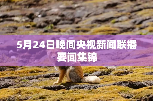 5月24日晚间央视新闻联播要闻集锦