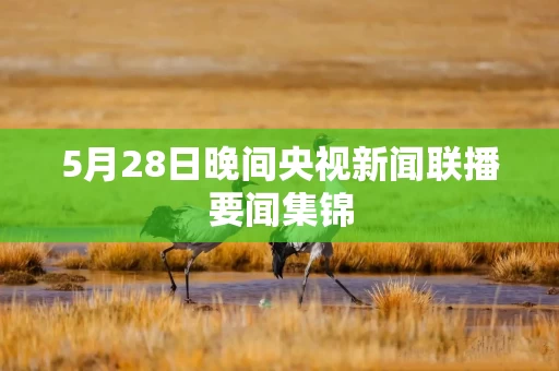 5月28日晚间央视新闻联播要闻集锦