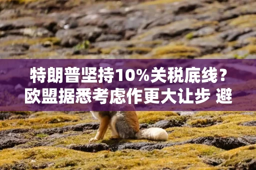 特朗普坚持10%关税底线？欧盟据悉考虑作更大让步 避免贸易战升级