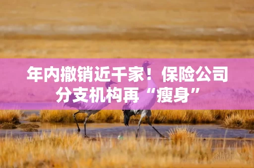 年内撤销近千家！保险公司分支机构再“瘦身”