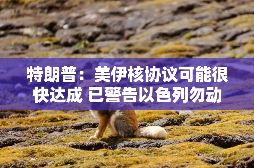 特朗普：美伊核协议可能很快达成 已警告以色列勿动武