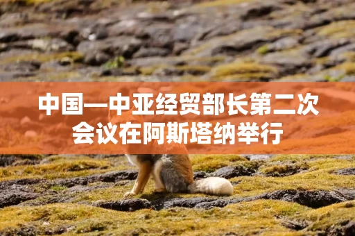 中国—中亚经贸部长第二次会议在阿斯塔纳举行