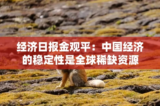 经济日报金观平：中国经济的稳定性是全球稀缺资源