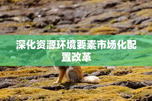深化资源环境要素市场化配置改革