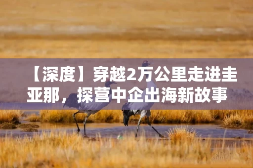 【深度】穿越2万公里走进圭亚那，探营中企出海新故事