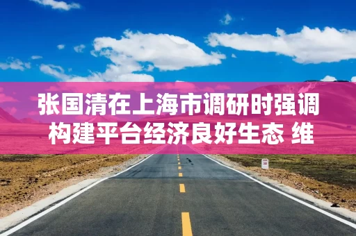 张国清在上海市调研时强调 构建平台经济良好生态 维护公平有序市场环境