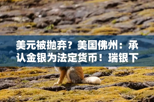 美元被抛弃？美国佛州：承认金银为法定货币！瑞银下调美元评级至“不具吸引力”