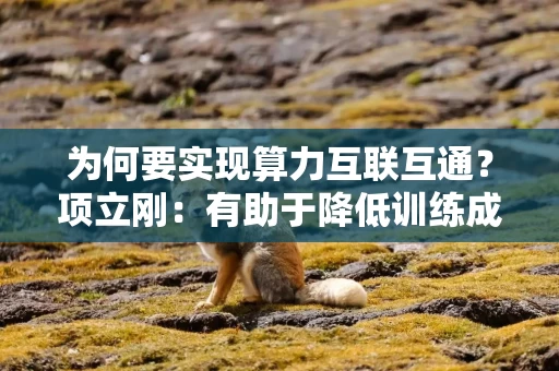 为何要实现算力互联互通？项立刚：有助于降低训练成本、盘活算力市场，打破高价芯片垄断