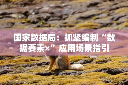 国家数据局：抓紧编制“数据要素×”应用场景指引