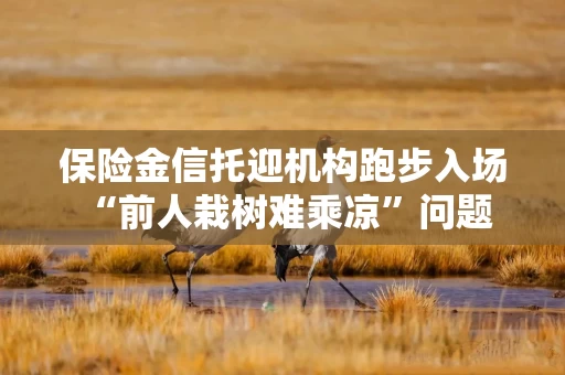 保险金信托迎机构跑步入场 “前人栽树难乘凉”问题何解