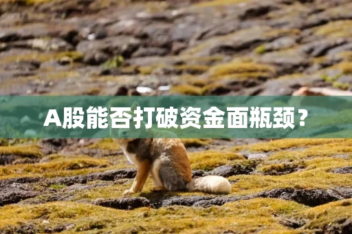 A股能否打破资金面瓶颈？