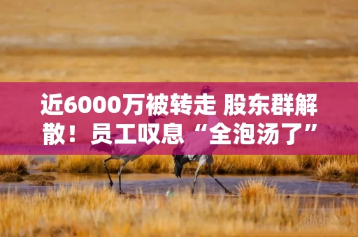 近6000万被转走 股东群解散！员工叹息“全泡汤了”！榴莲大王爆雷 高管被控制