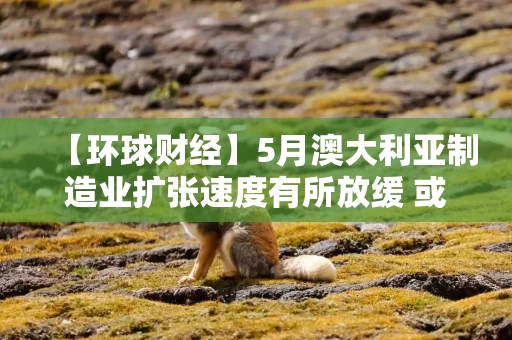 【环球财经】5月澳大利亚制造业扩张速度有所放缓 或为暂时现象
