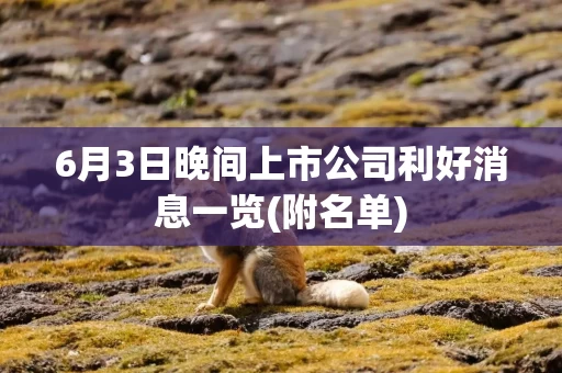 6月3日晚间上市公司利好消息一览(附名单)
