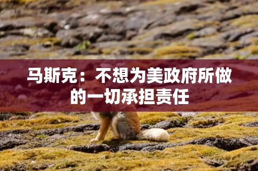 马斯克：不想为美政府所做的一切承担责任