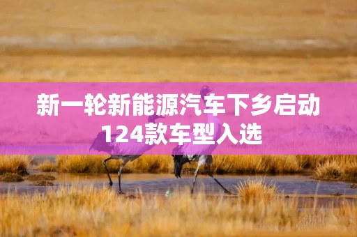 新一轮新能源汽车下乡启动 124款车型入选