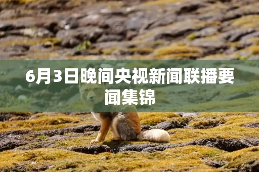 6月3日晚间央视新闻联播要闻集锦