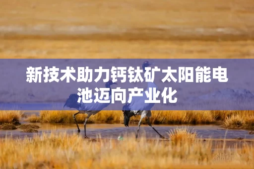 新技术助力钙钛矿太阳能电池迈向产业化