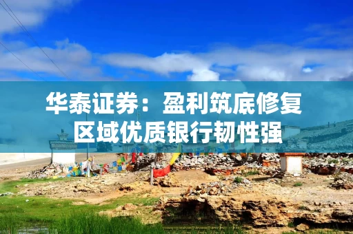 华泰证券：盈利筑底修复 区域优质银行韧性强
