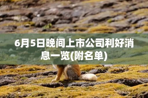 6月5日晚间上市公司利好消息一览(附名单)