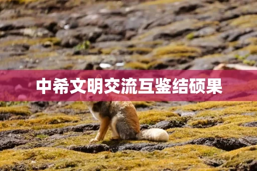 中希文明交流互鉴结硕果