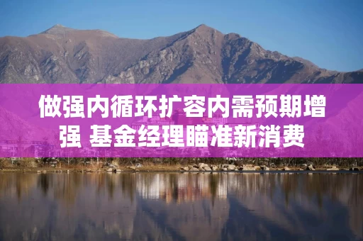 做强内循环扩容内需预期增强 基金经理瞄准新消费