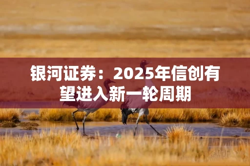 银河证券：2025年信创有望进入新一轮周期