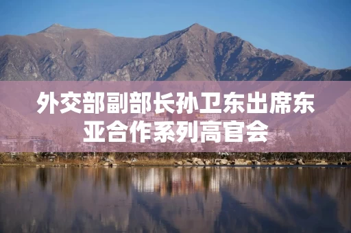外交部副部长孙卫东出席东亚合作系列高官会