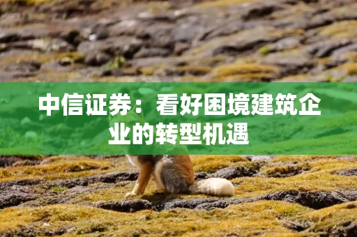 中信证券：看好困境建筑企业的转型机遇