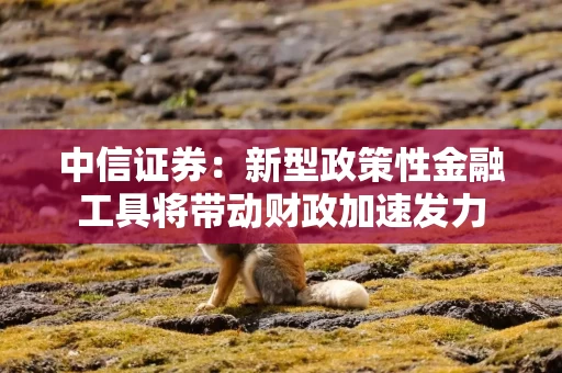 中信证券：新型政策性金融工具将带动财政加速发力