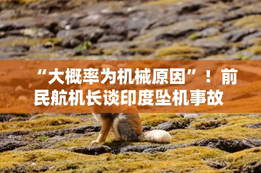 “大概率为机械原因”！前民航机长谈印度坠机事故 该机型曾被曝存隐患全球停飞 “吹哨人”死在自己车中