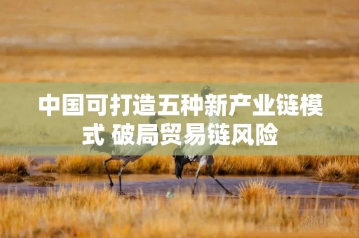 中国可打造五种新产业链模式 破局贸易链风险
