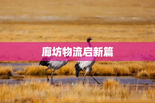 廊坊物流启新篇