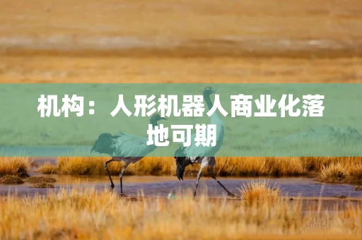 机构：人形机器人商业化落地可期