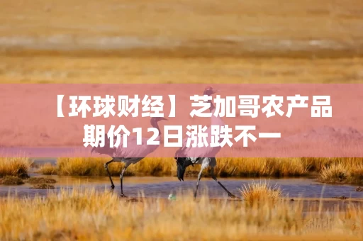 【环球财经】芝加哥农产品期价12日涨跌不一