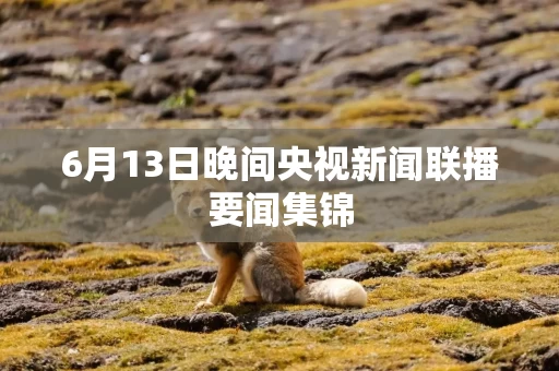 6月13日晚间央视新闻联播要闻集锦